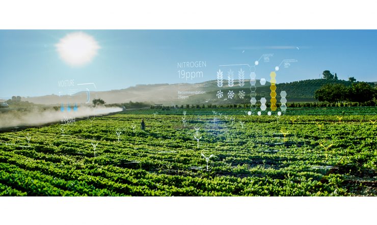 Mitä metsäpalo- tai siitepölyennusteella on tekemistä avoimen lähdekoodin, avoimen datan ja Azure-pilvialustan kanssa?