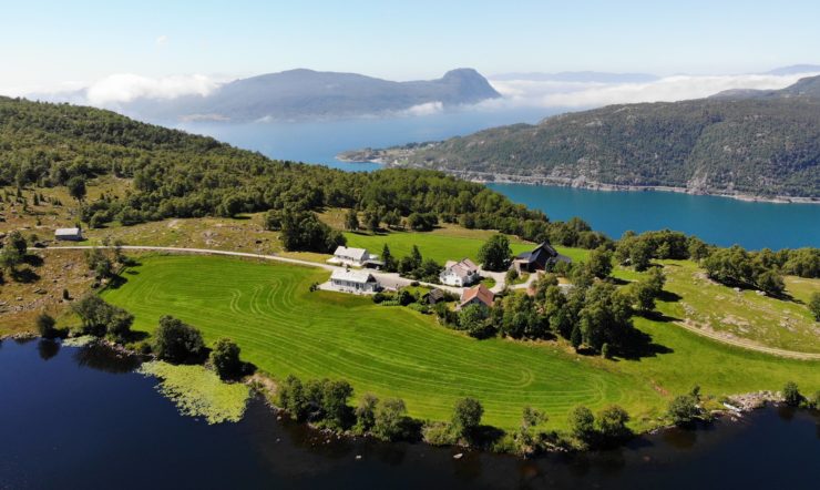 Bruk av kunstig intelligens for karbonfangst med norsk klimaskog