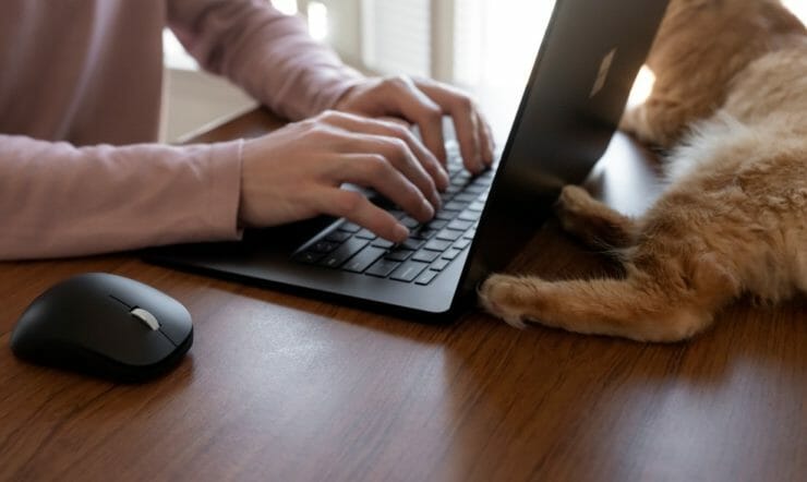 Eine Frau benutzt einen Laptop, der auf einem Tisch sitzt und hinter dem Laptop sitzt eine Katze.