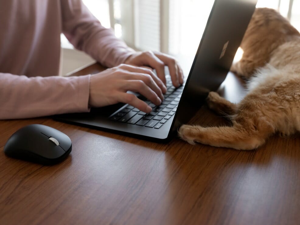 Eine Frau benutzt einen Laptop, der auf einem Tisch sitzt und hinter dem Laptop sitzt eine Katze.
