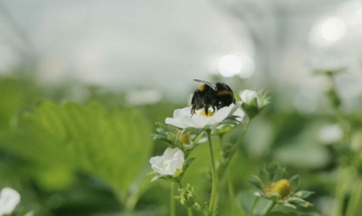 Dynamics 365 maakt de supply chain toekomstbestendig