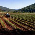 man on a tractor in a farmland