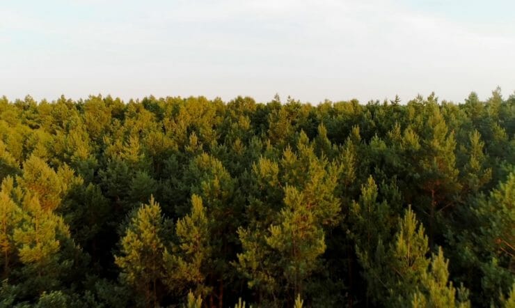 Klaar voor de toekomst met groene productie