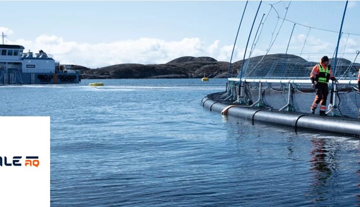 Banner with people walking along a fish farm