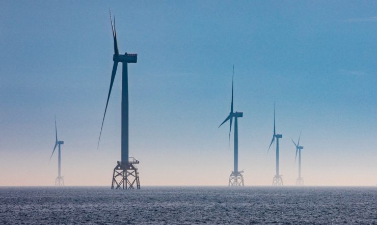 Windmolenpark draagt bij aan de biodiversiteit van omgeving door inzet digital twin