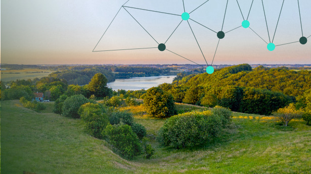 Microsoft Danmarks initiativer for opkvalificering