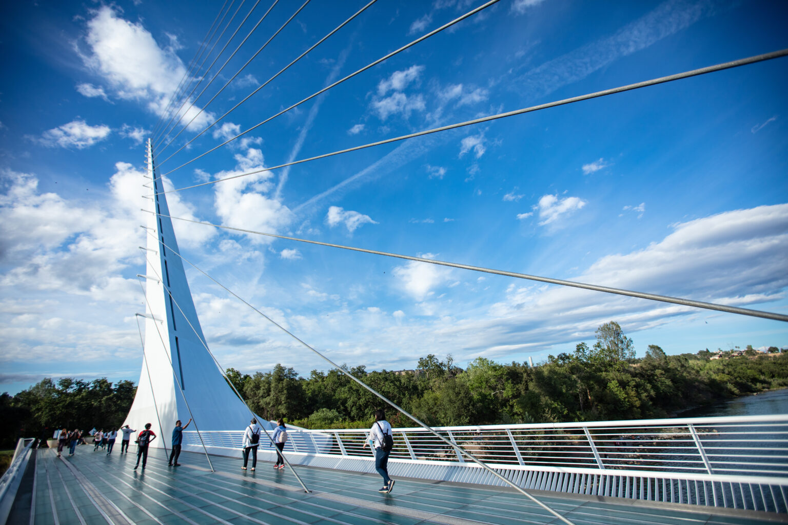 A bridge with people walking on it and trees and a blue sky with white cloud behind