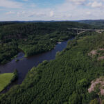 Green forest and a small river seen from above