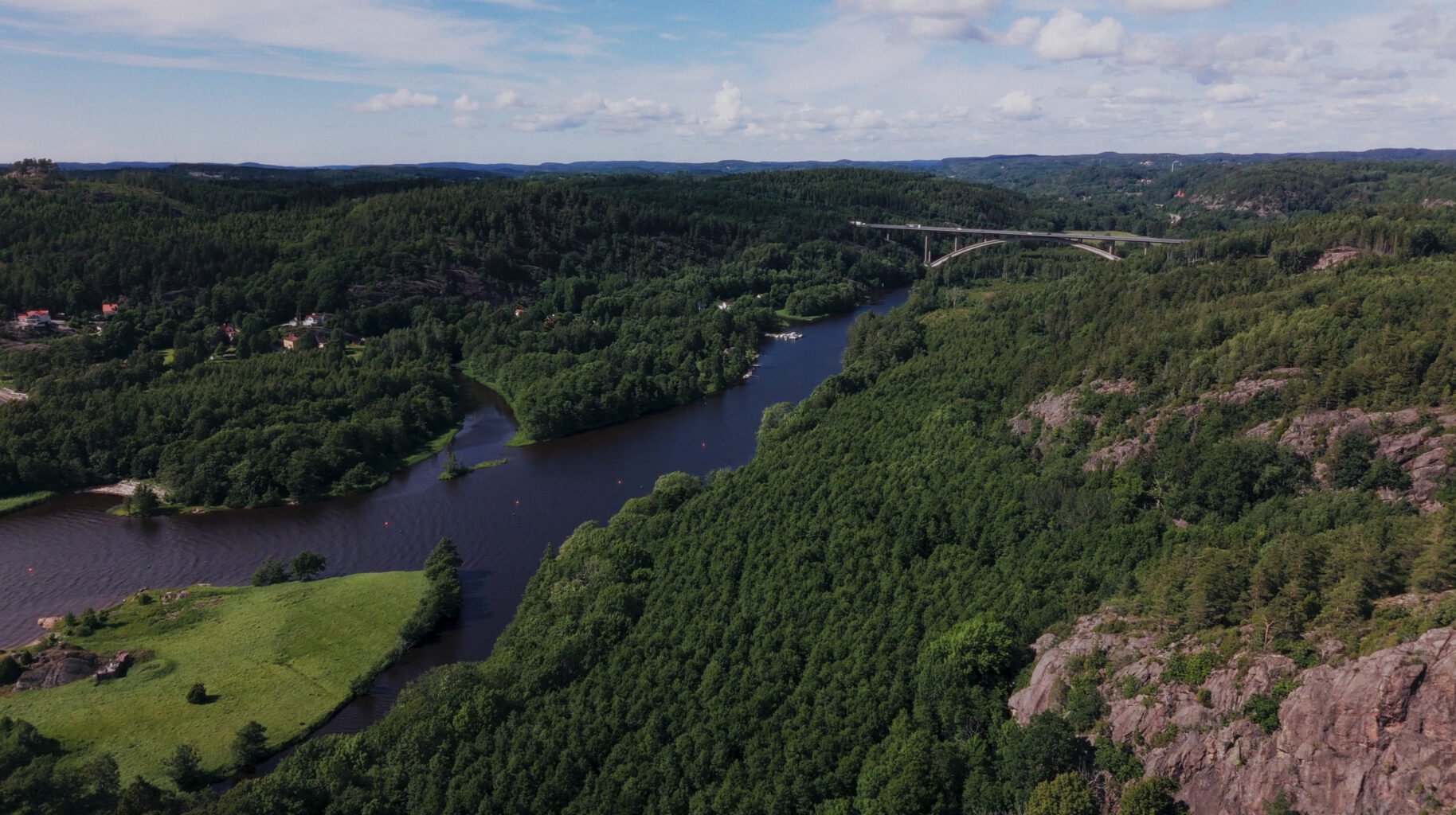 Green forest and a small river seen from above